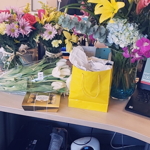 Meet your Posher, Towannda - Picture 1 of 1